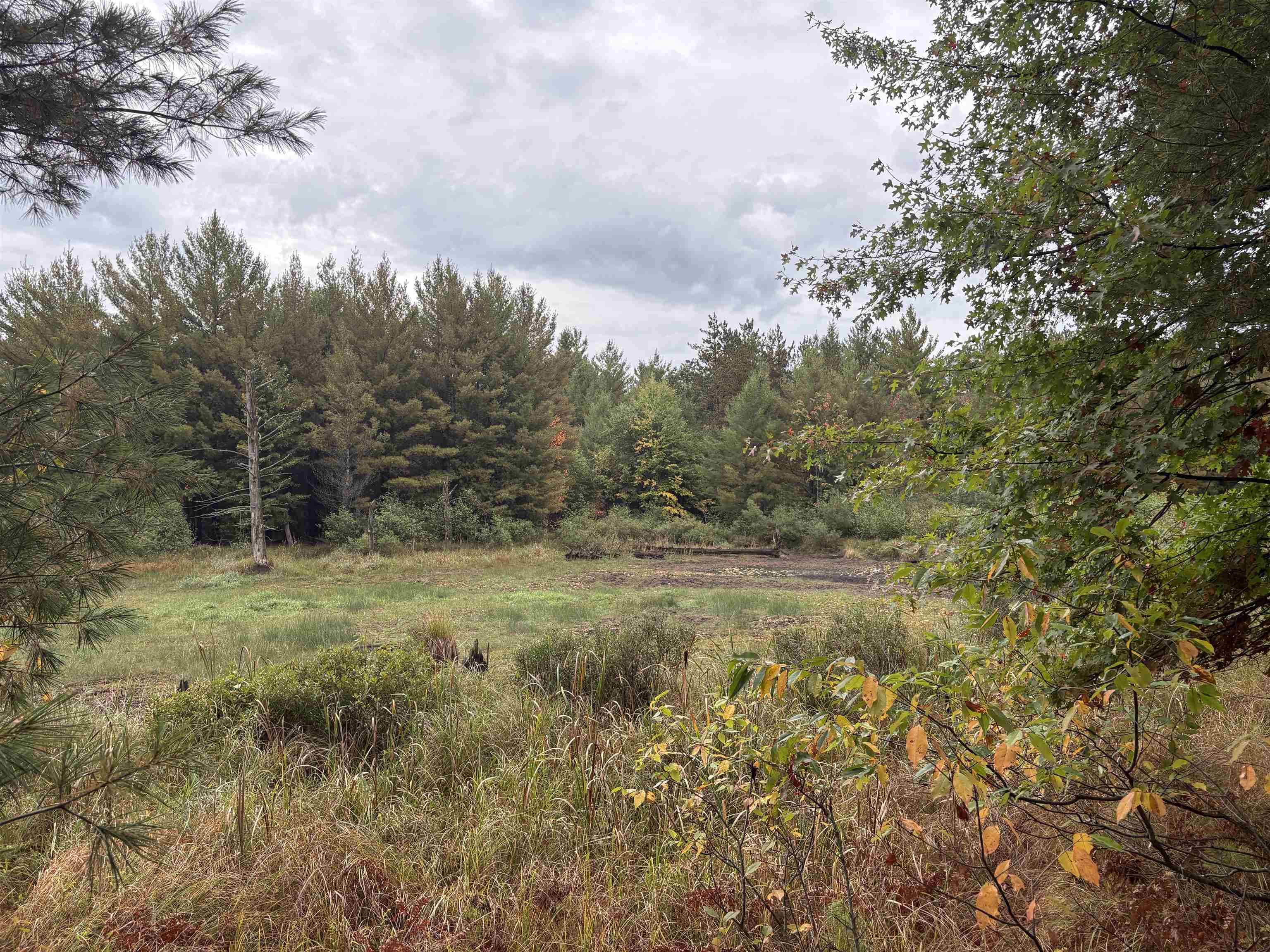 0 Hall Road Roscommon, MI 48653 - Photo 17 of 17