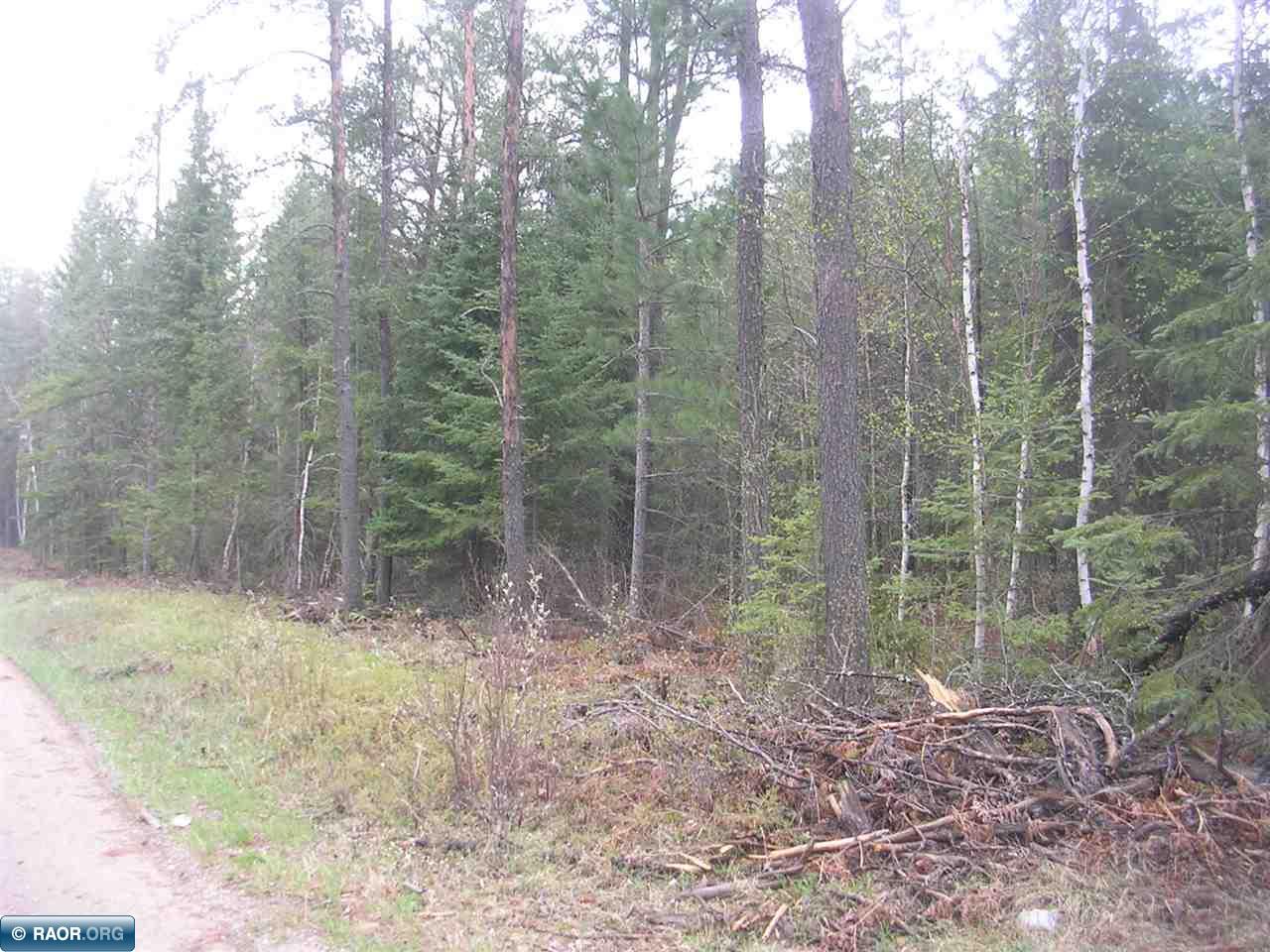 65 Alango Mn 55703 Angora, MN 55703 - Photo 2 of 3