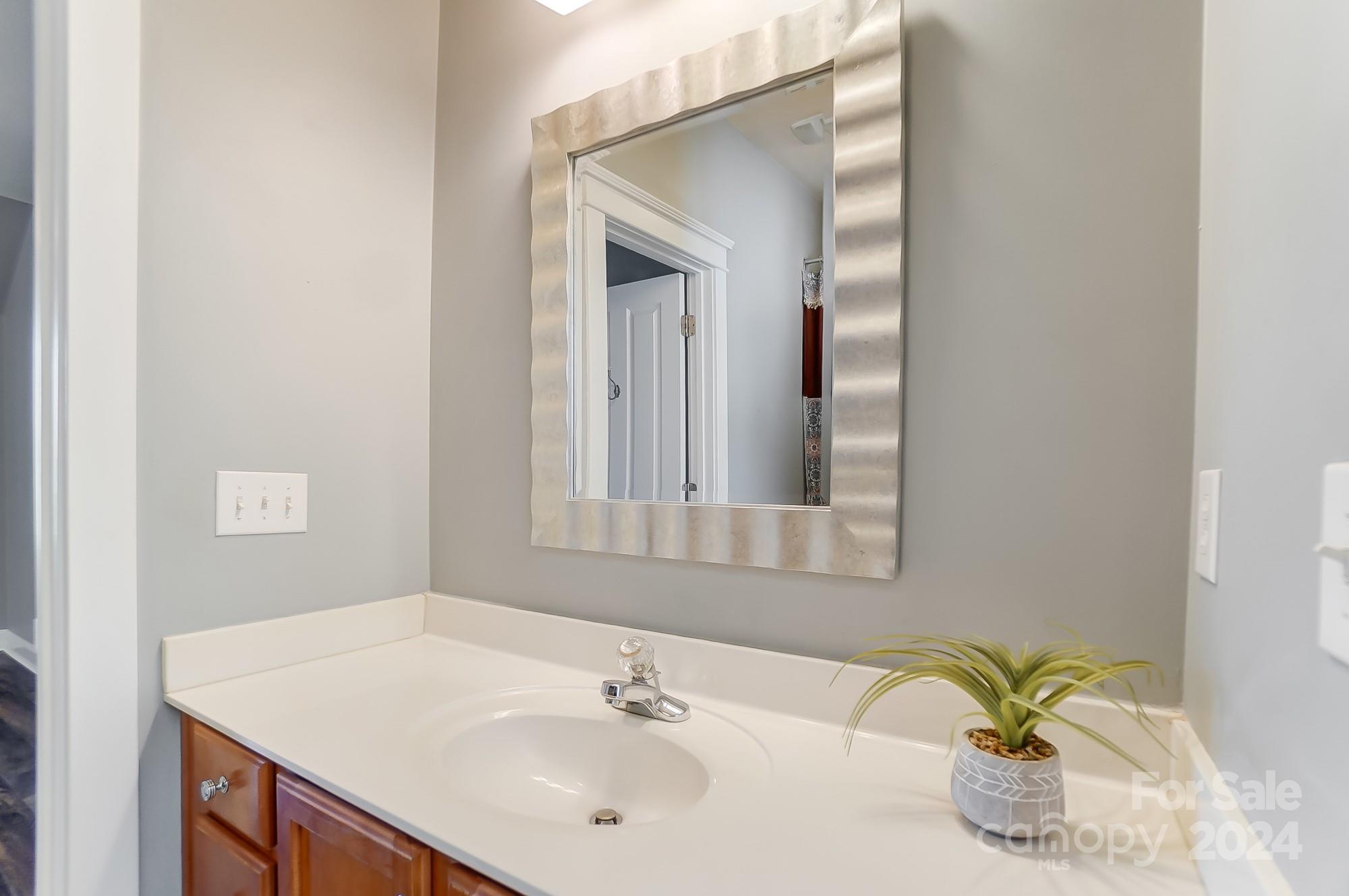 169 Mills Lane Fort Mill, SC 29708 - Photo 30 of 38 a bathroom with a sink a vanity and a mirror
