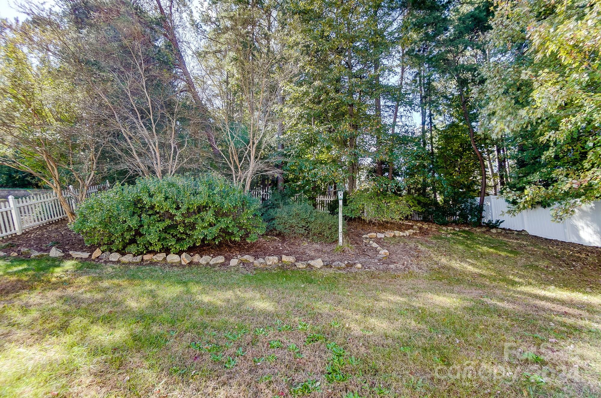 169 Mills Lane Fort Mill, SC 29708 - Photo 38 of 38 a view of a yard with plants and trees