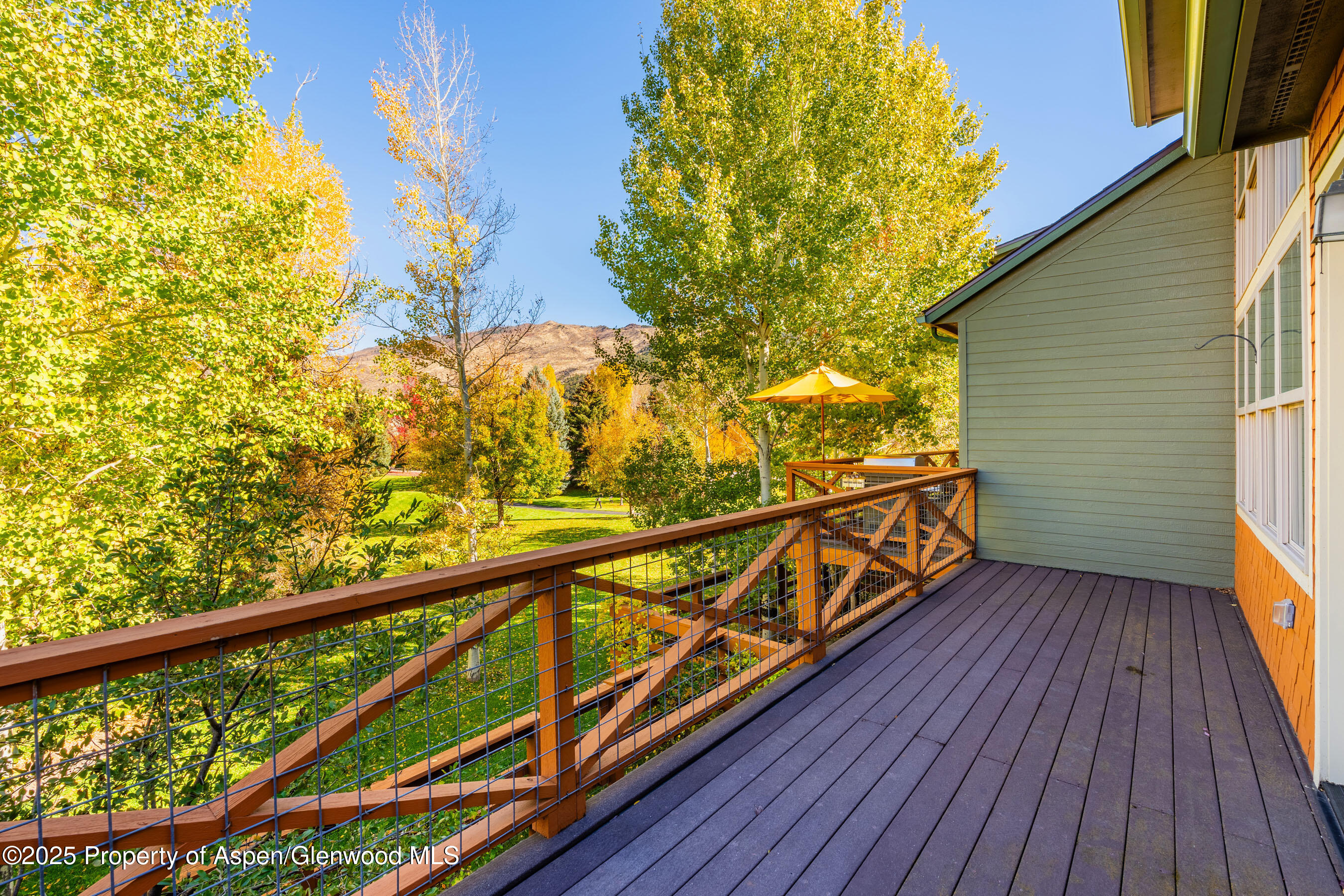 435 Jody Road Basalt, CO 81621 - Photo 12 of 29 a view of balcony with wooden floor