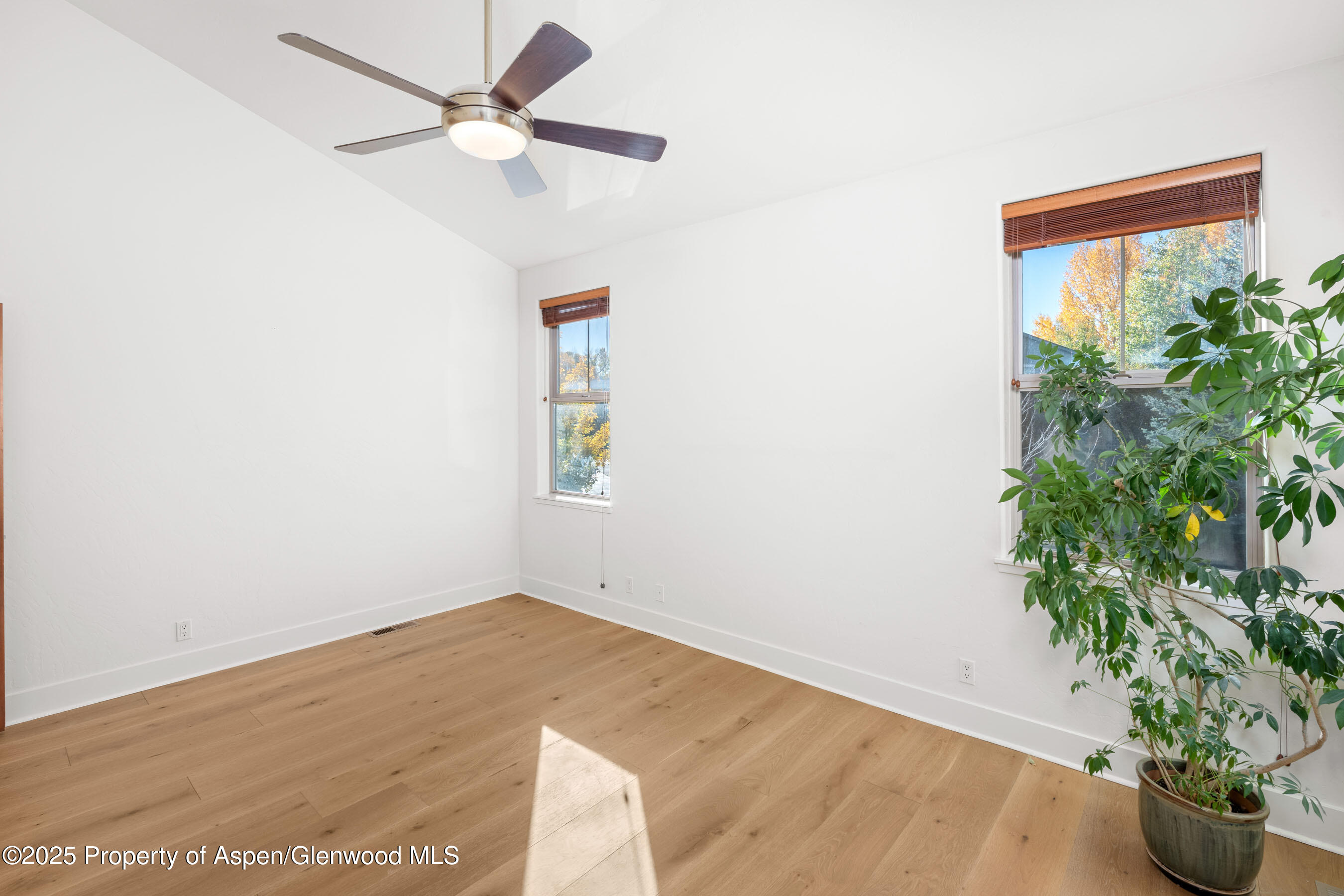 435 Jody Road Basalt, CO 81621 - Photo 14 of 29 an empty room with potted plant and a ceiling fan