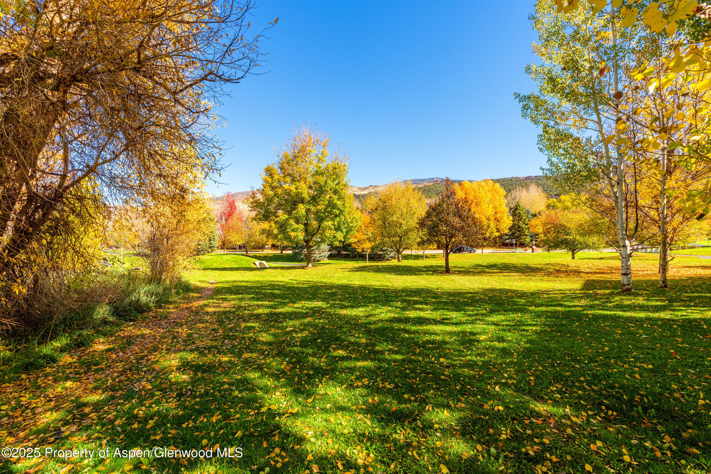 435 Jody Road Basalt, CO 81621 - Photo 23 of 29 a view of yard with swimming pool and green space