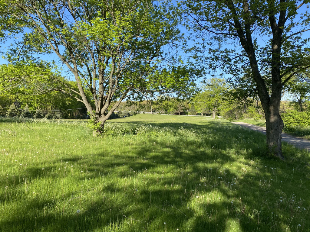 9-n010 Corron Road Elgin, IL 60124 - Photo 3 of 13