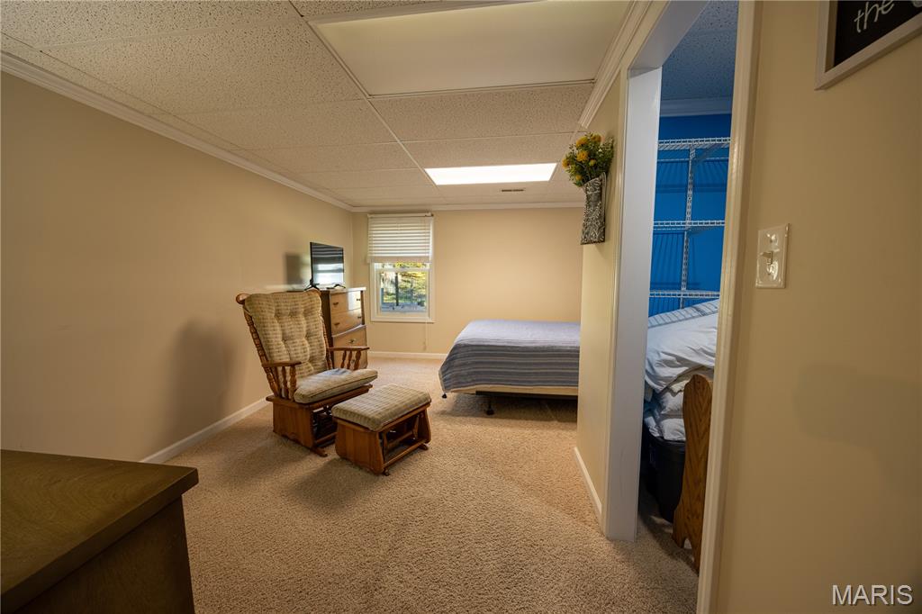 3818 Eagle Ridge Drive Cape Girardeau, MO 63701 - Photo 39 of 55