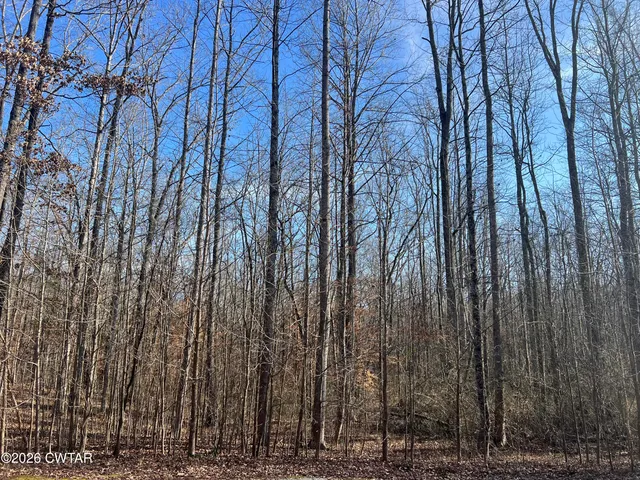 a view of backyard with wooden fence