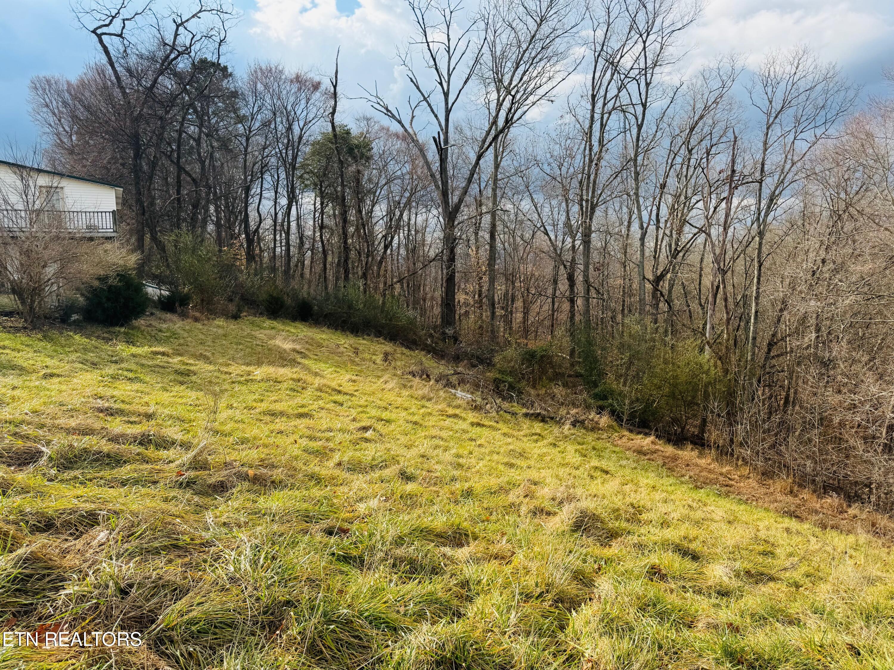 1221 Brady Road Newport, TN 37821 - Photo 18 of 34 IMG_3341