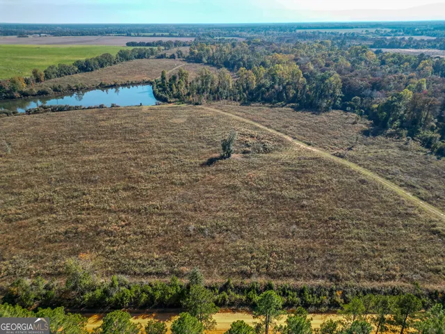 $445,000 | 0 William Avera Road, Morgan, GA 39866