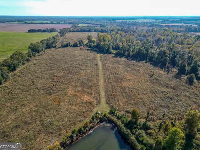 $445,000 | 0 William Avera Road, Morgan, GA 39866