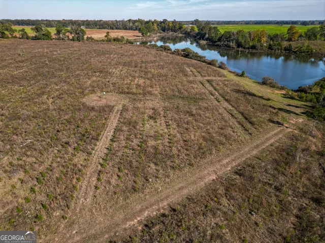$445,000 | 0 William Avera Road, Morgan, GA 39866