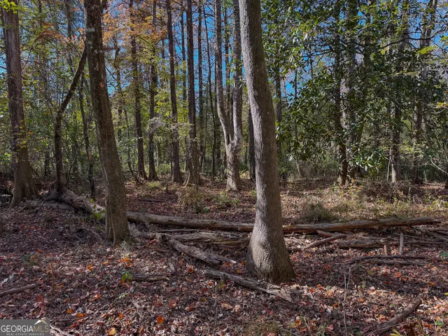 $445,000 | 0 William Avera Road, Morgan, GA 39866