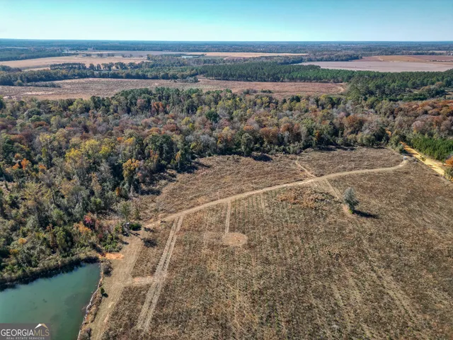 $445,000 | 0 William Avera Road, Morgan, GA 39866