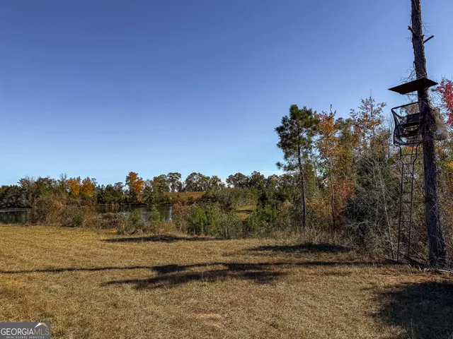 $445,000 | 0 William Avera Road, Morgan, GA 39866