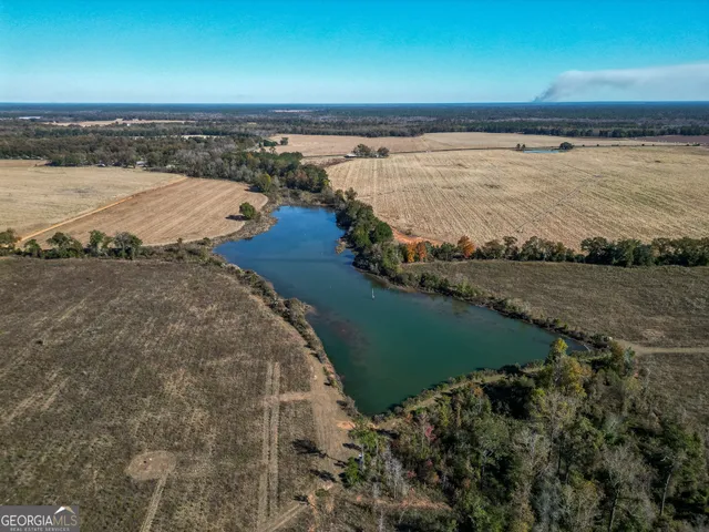 $445,000 | 0 William Avera Road, Morgan, GA 39866