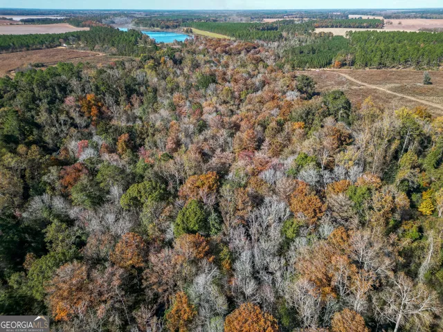 $445,000 | 0 William Avera Road, Morgan, GA 39866