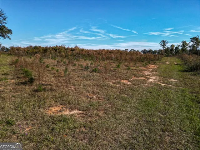 $445,000 | 0 William Avera Road, Morgan, GA 39866