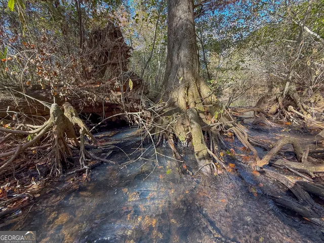 $445,000 | 0 William Avera Road, Morgan, GA 39866