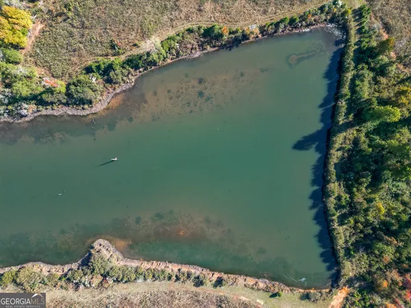 a view of a lake from a yard