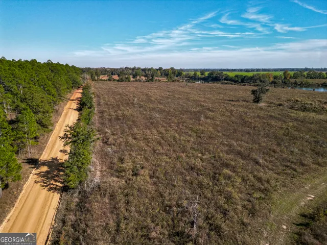 $445,000 | 0 William Avera Road, Morgan, GA 39866