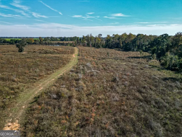 $445,000 | 0 William Avera Road, Morgan, GA 39866