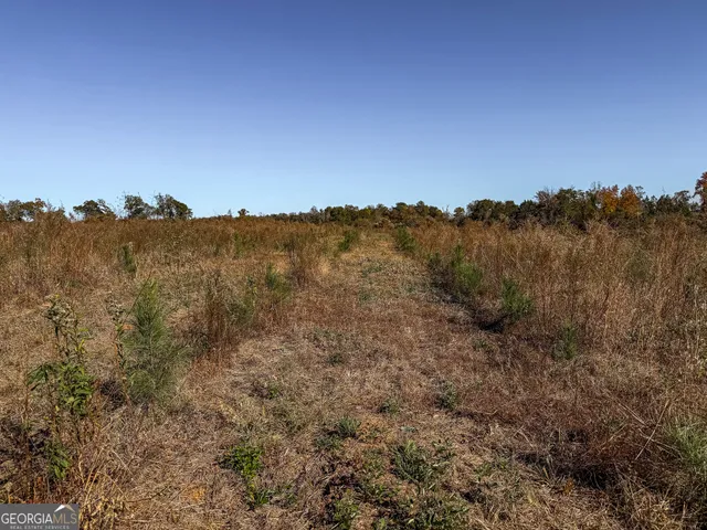 $445,000 | 0 William Avera Road, Morgan, GA 39866