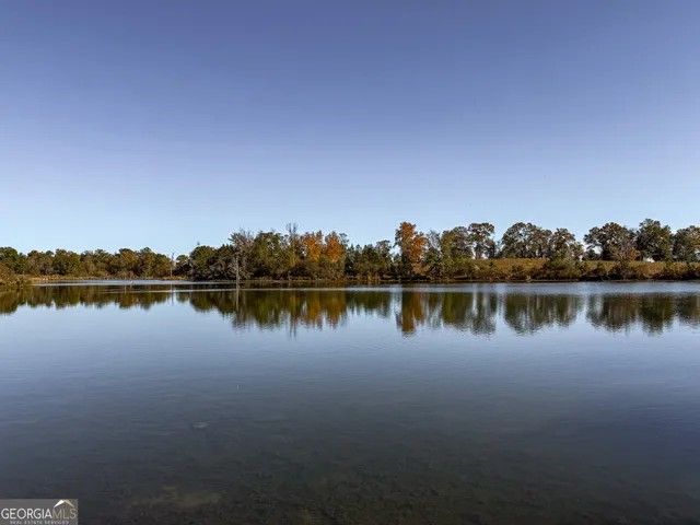 $445,000 | 0 William Avera Road, Morgan, GA 39866