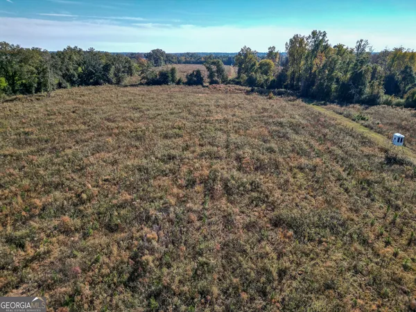 a view of a yard with plants and trees