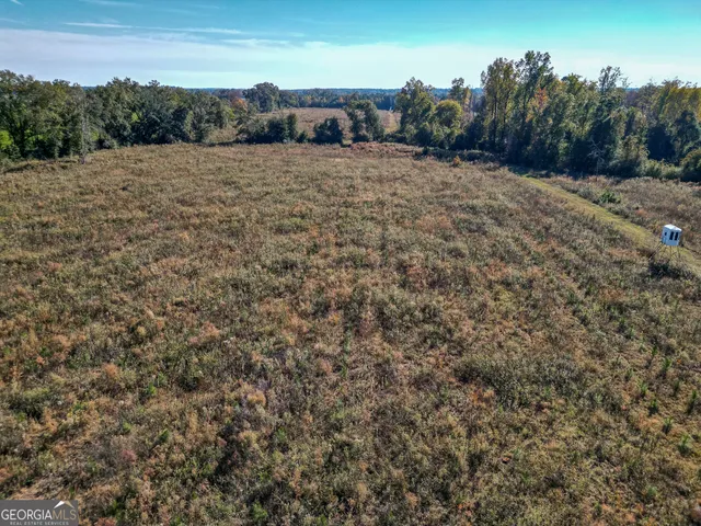 $445,000 | 0 William Avera Road, Morgan, GA 39866