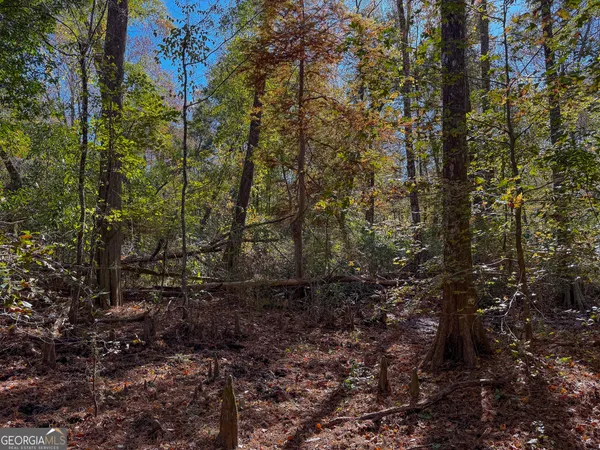 a view of a pathway both side of a road with an ocean view