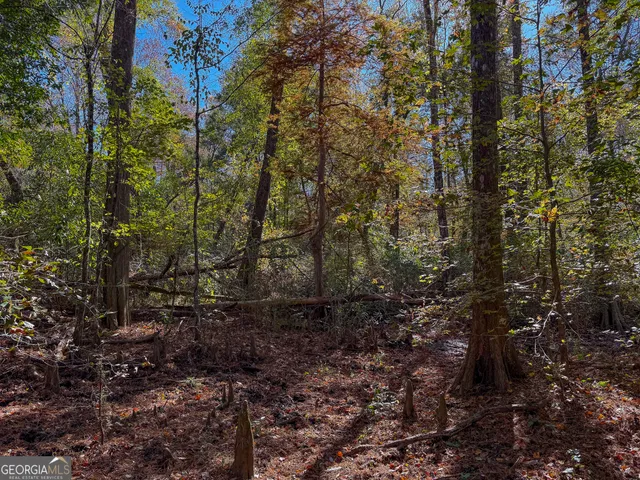 $445,000 | 0 William Avera Road, Morgan, GA 39866