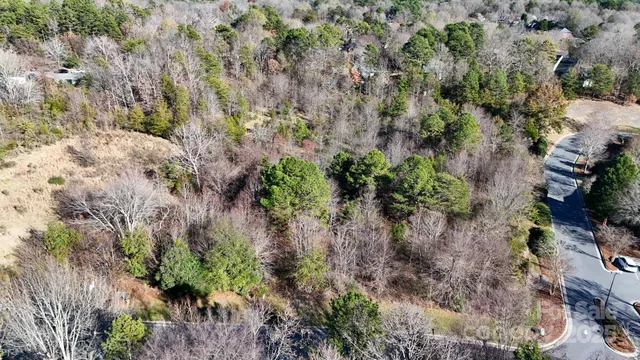a plant view in yard