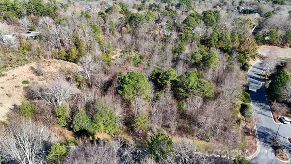 a plant view in yard