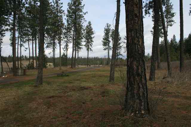 21827 West Jacobs Road Spokane, WA 99224 - Photo 3 of 4