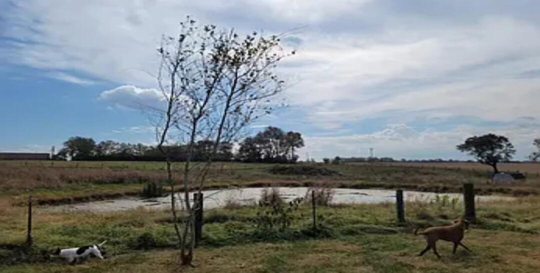 1795 Cynthiana Road Paris, KY 40361 - Photo 5 of 59 Screenshot_20230823_175943_Chrome