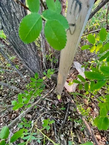 $165,000 | 85 Arrowhead Lane, Moose Lake, MN 55767