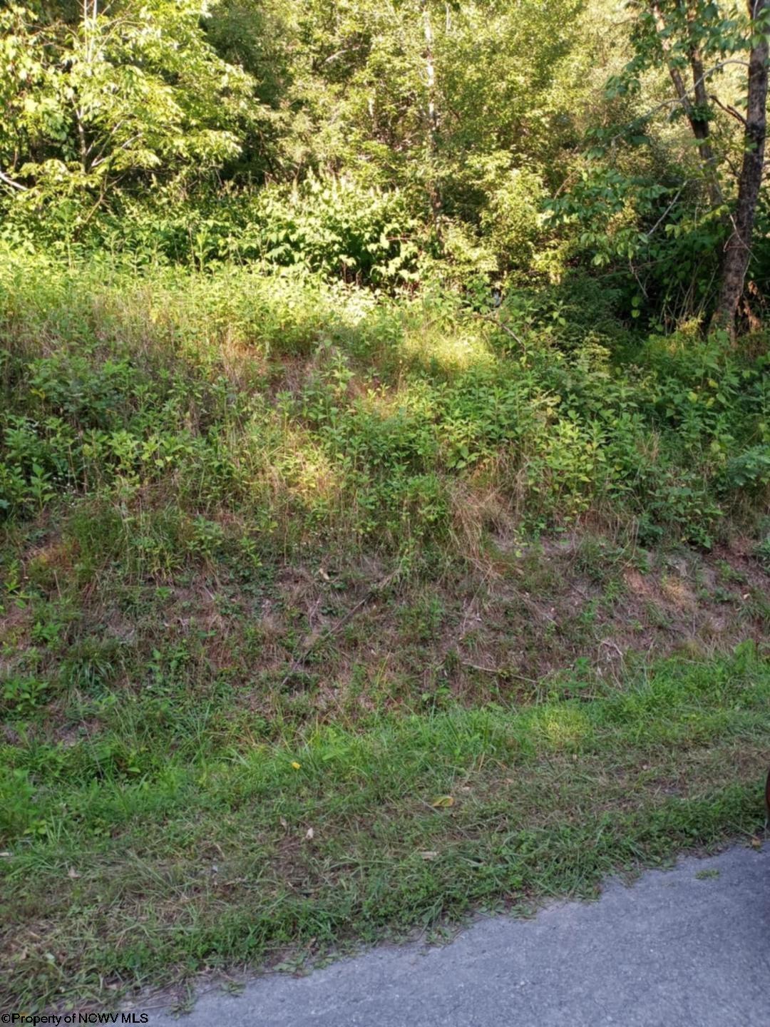 1024 Mt Lebanon Road Buckhannon, WV 26201 - Photo 2 of 2 Gallery Image 2