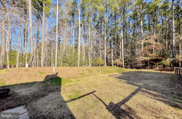 a view of backyard with large trees