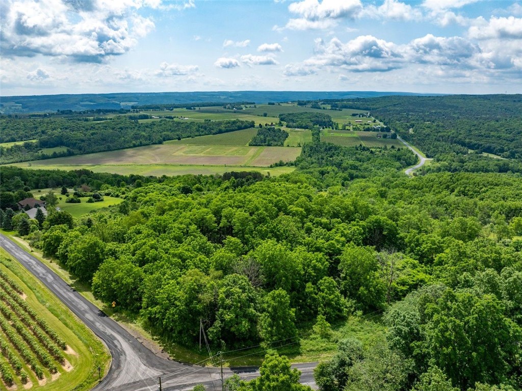 0 Esperanza Road Keuka Park, NY 14478 - Photo 7 of 17