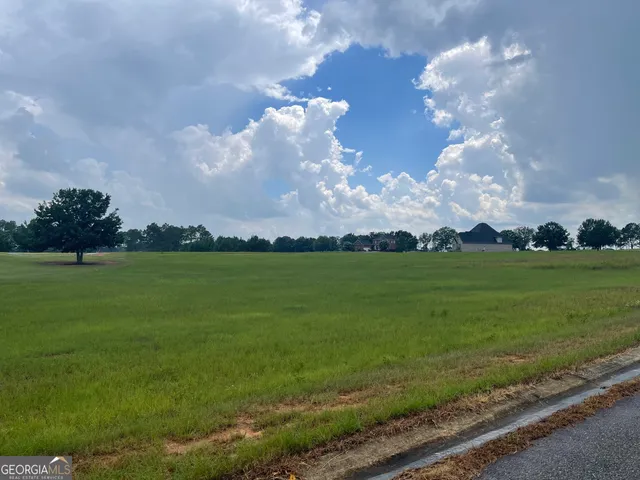 $45,000 | 44 Crabapple Drive, Hawkinsville, GA 31036