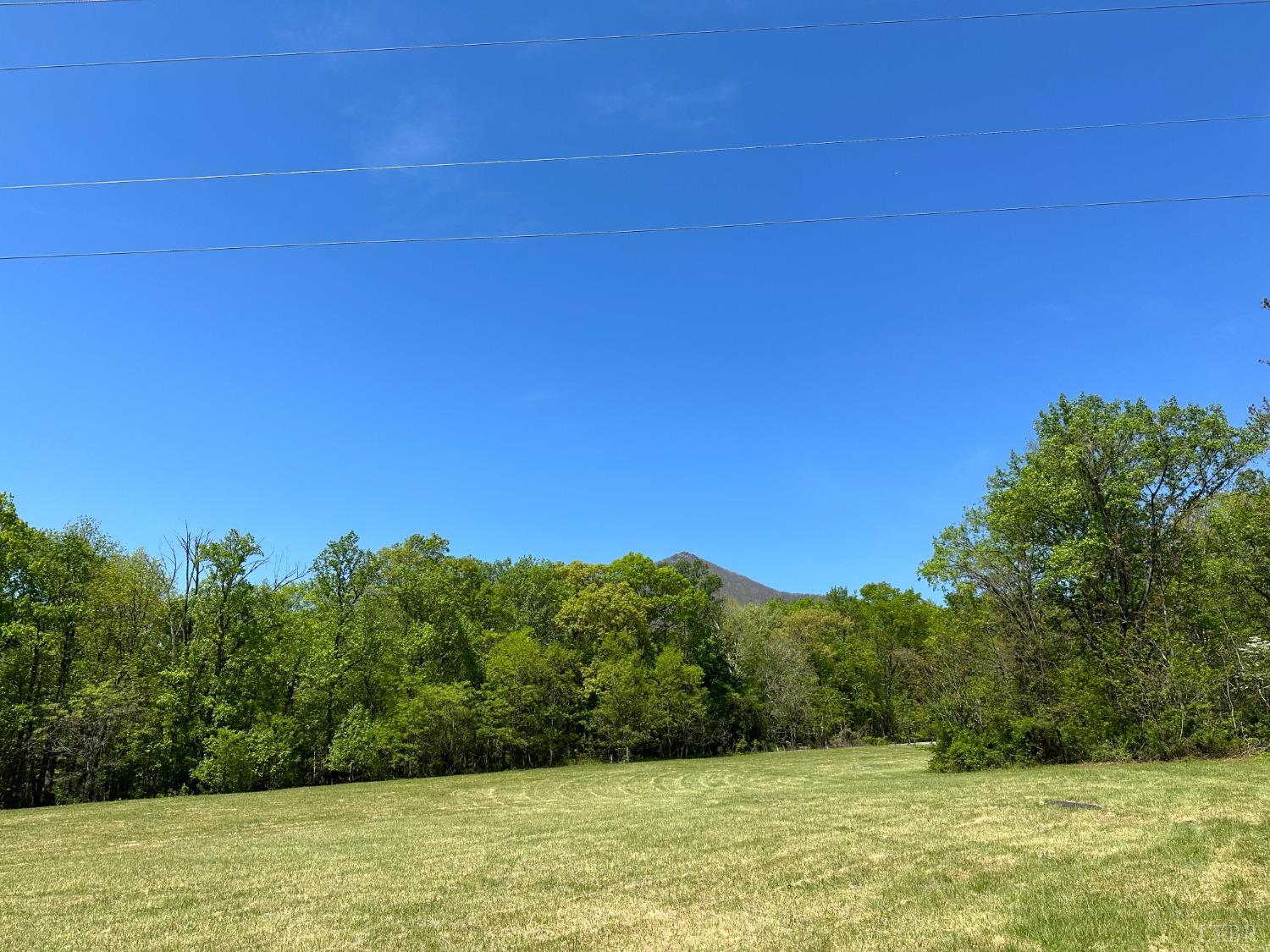 0 Peaks Road Bedford, VA 24523 - Photo 26 of 31 Gallery Image 26