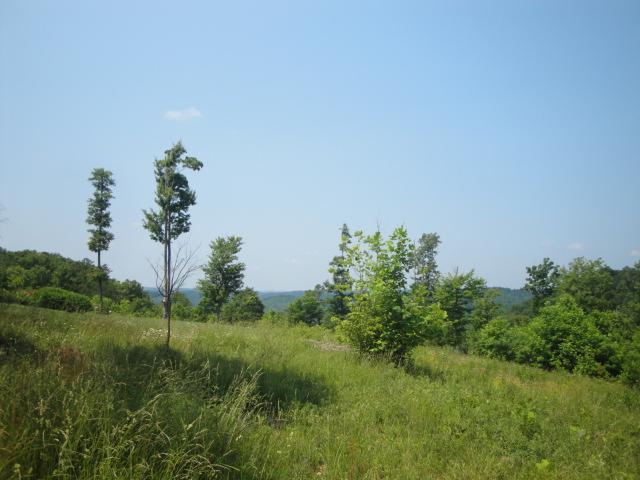 5 Keno Road Burnside, KY 42519 - Photo 2 of 5 Additional Photo