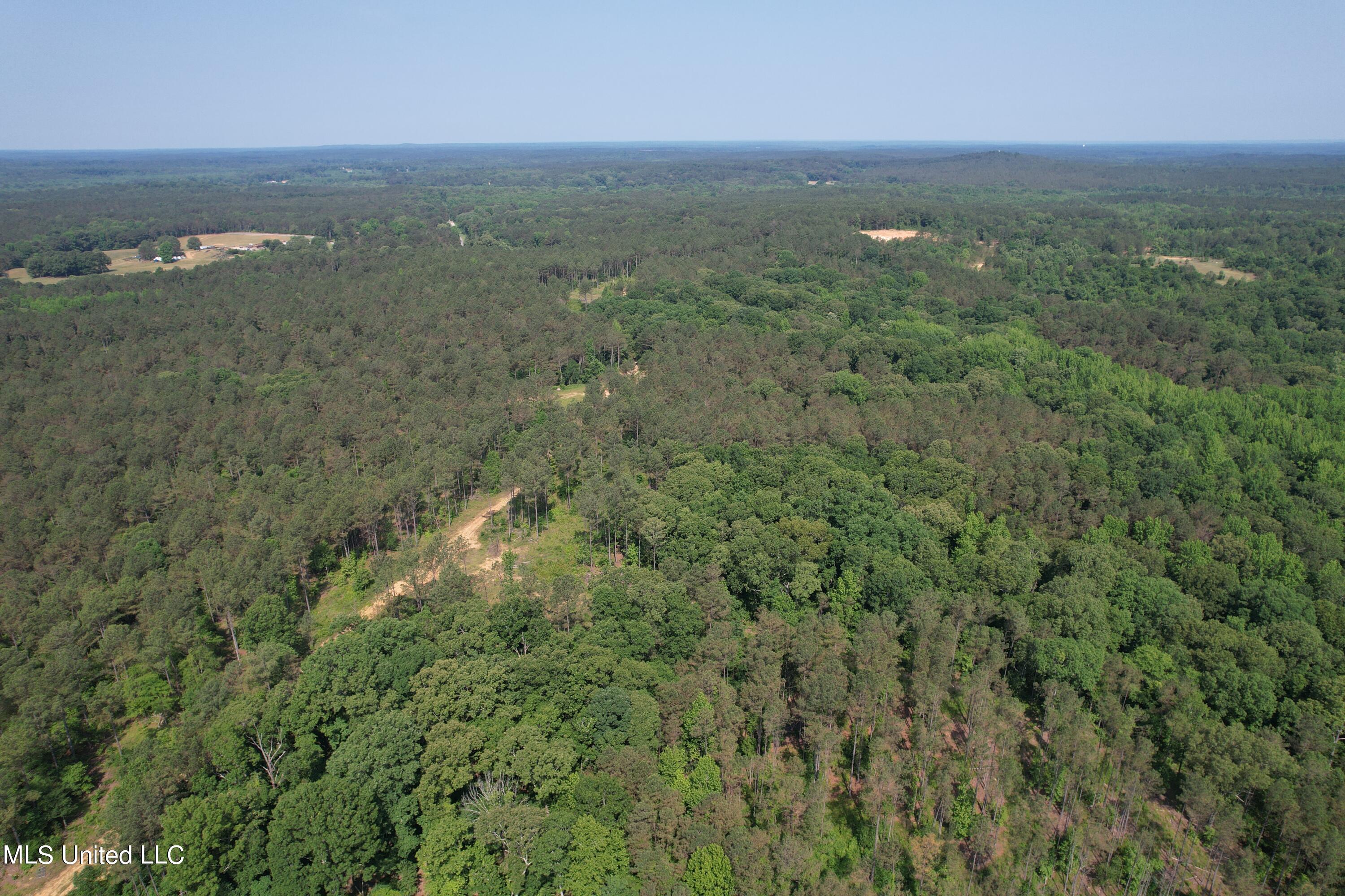 323 County Road Oxford, MS 38655 - Photo 10 of 38 DJI_0226