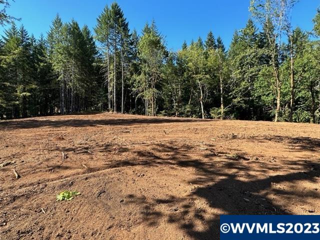 526258 Southwest Pumpkinseed Road Willamina, OR 97396 - Photo 19 of 24