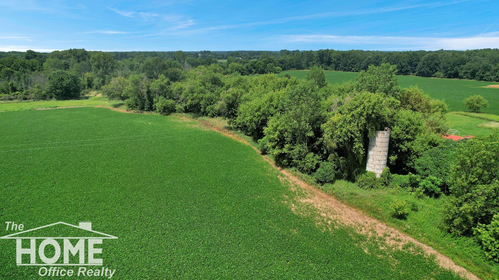 6327 South Morrice Road Perry, MI 48872 - Photo 9 of 16