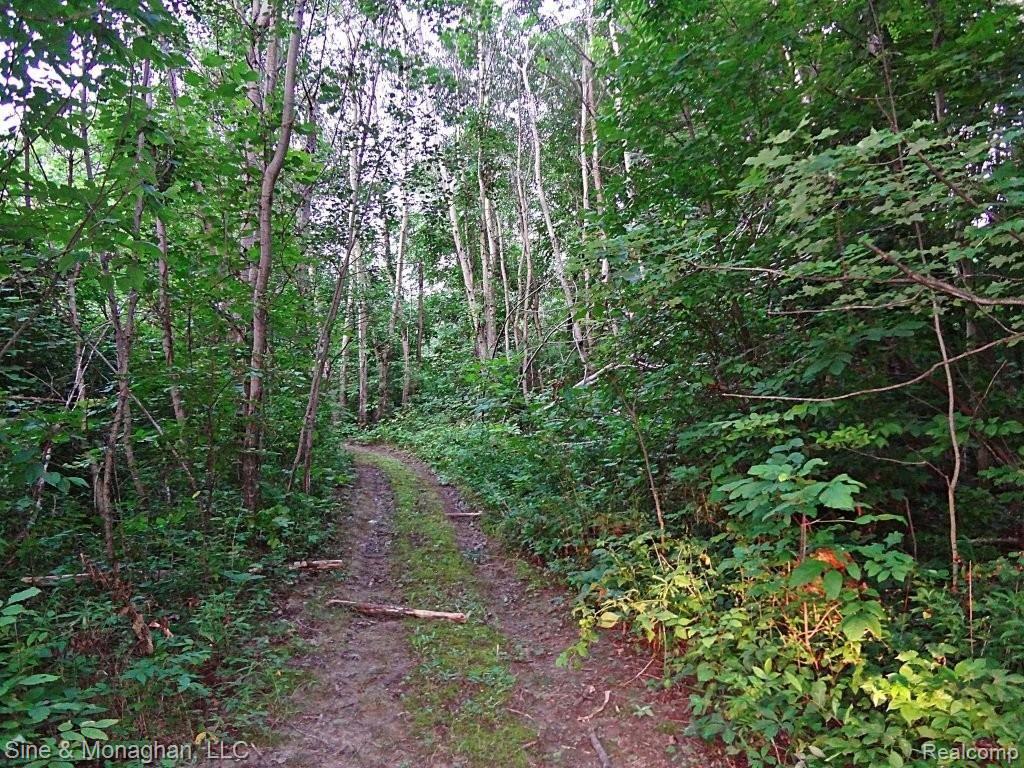 10213 Pound Road Columbus, MI 48063 - Photo 6 of 43 5-trails.JPG