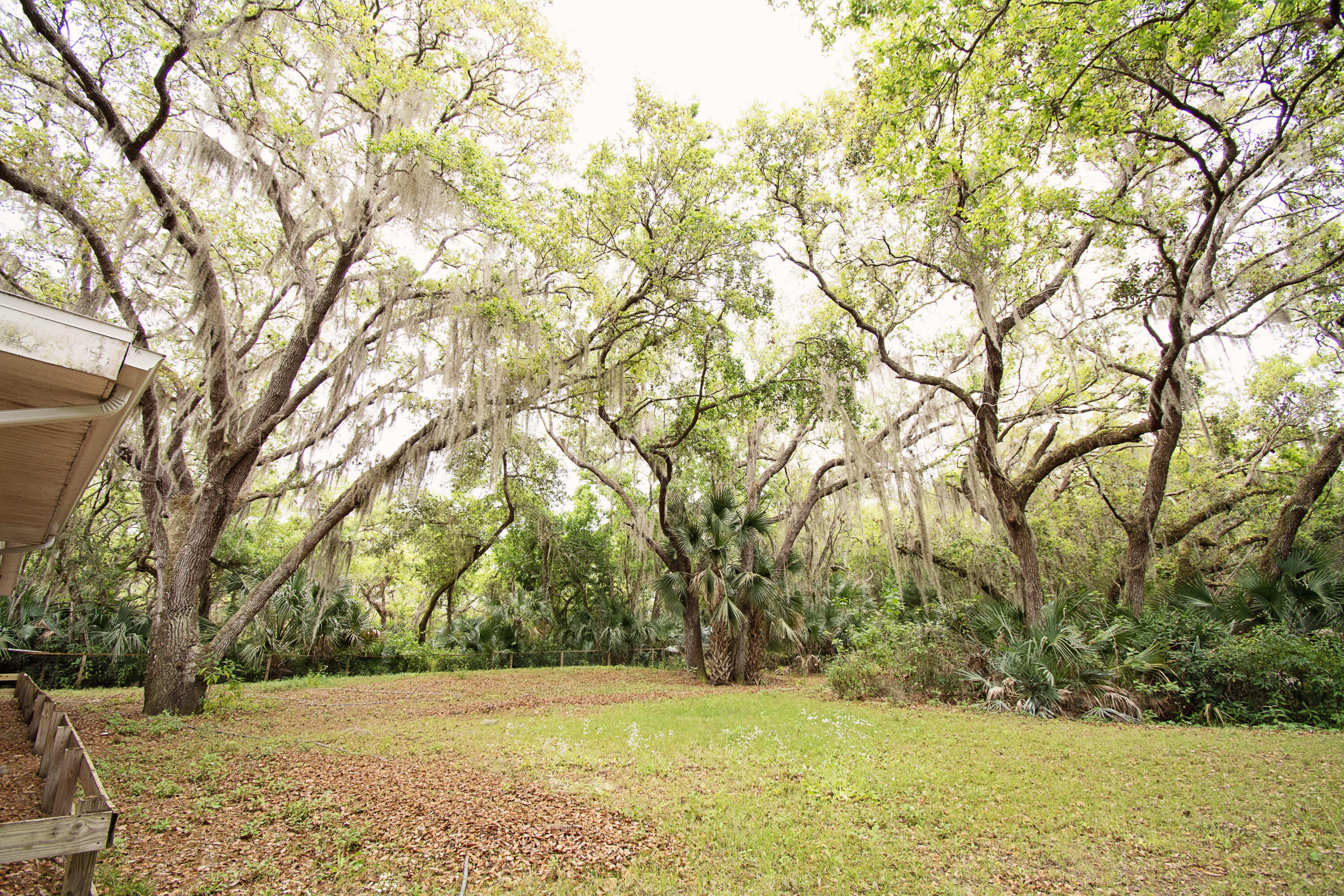 1175 Pine Island Road Merritt Island, FL 32953 - Photo 34 of 36 TAB_3030