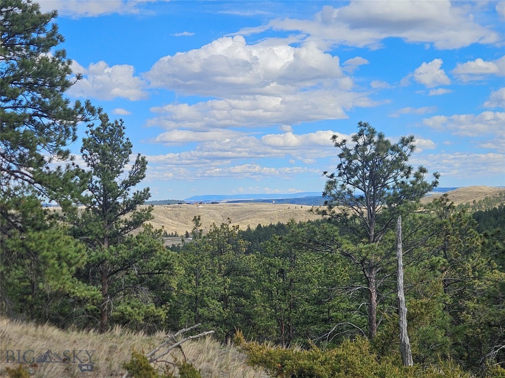 Yrr-82 Yrr-82 Cougar Reed Point, MT 59069 - Photo 1 of 1 Gallery Image 1