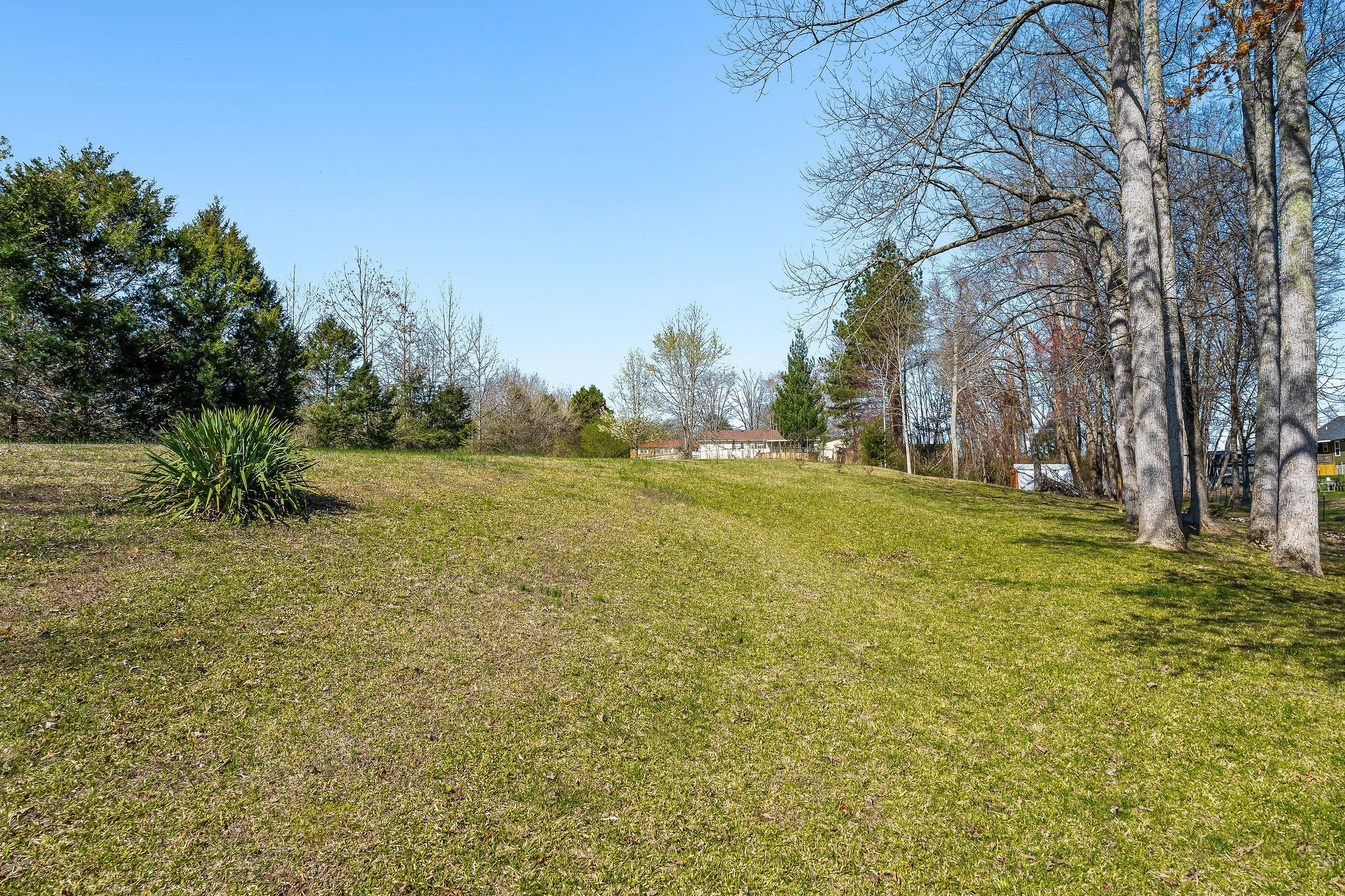 260 Blue Road Quebeck, TN 38579 - Photo 45 of 56 Gallery Image 45