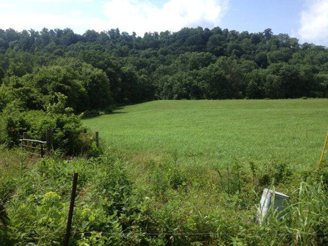 1264 Buffalo Zion Road Beattyville, KY 41311 - Photo 16 of 43 Photo 17