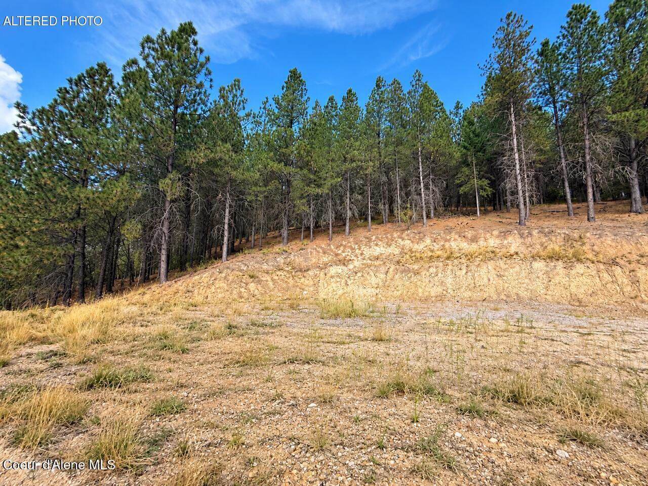 2972 South Fork Ridge Kingston, ID 83839 - Photo 5 of 12 Chat Clean up 7